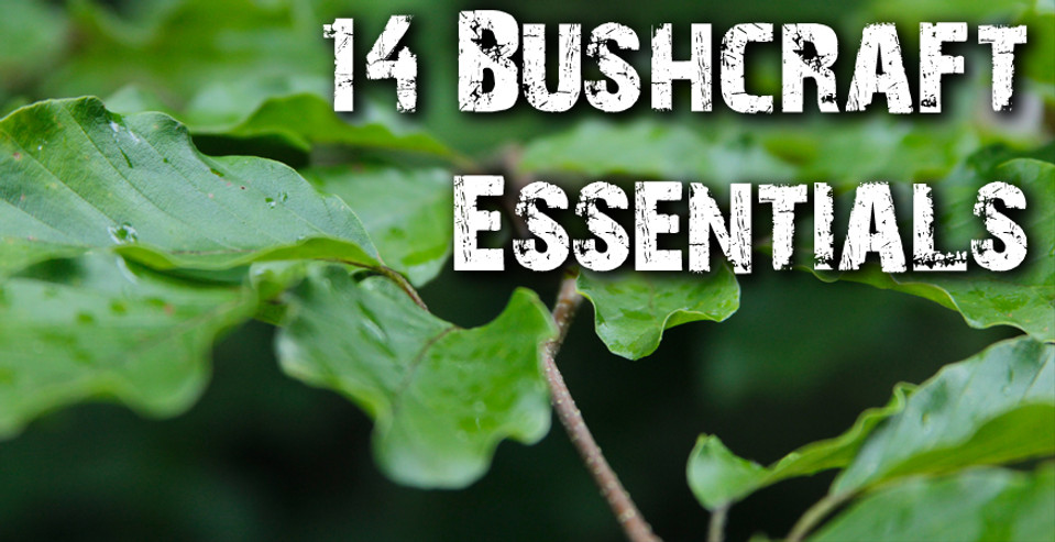 14 Bushcraft Essentials