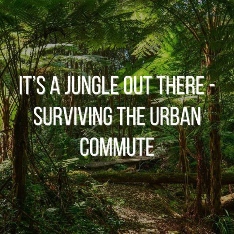 It’s a Jungle Out There - Surviving The Urban Commute